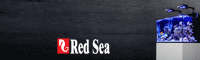 RedSea