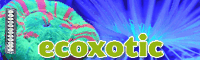 Ecoxotic