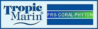Tropic Coral Zoo-Phyton