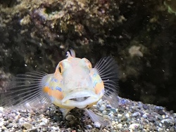 Unser „Günther Grundcheck“ ❣️ Unser „Günther Grundcheck“ ❣️