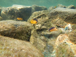 Foto: Fernando de Noronha, Braslien Foto: Fernando de Noronha, Braslien
