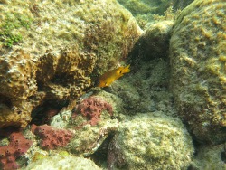 Foto: Fernando de Noronha, Braslien Foto: Fernando de Noronha, Braslien