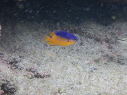 Foto: Fernando de Noronha, Braslien Foto: Fernando de Noronha, Braslien