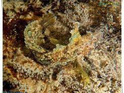 Foto: ilhabela, Brasilien Foto: ilhabela, Brasilien