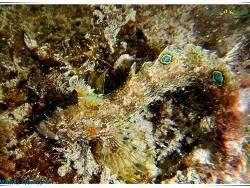 Foto: ilhabela, Brasilien Foto: ilhabela, Brasilien