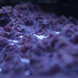 was ist das thumbnail