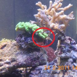 was ist das thumbnail