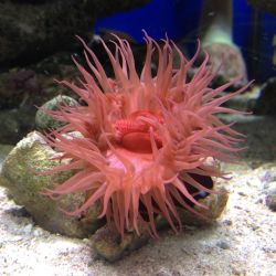 was ist das thumbnail