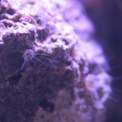 was ist das thumbnail