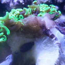 was ist das thumbnail