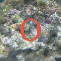 was ist das thumbnail