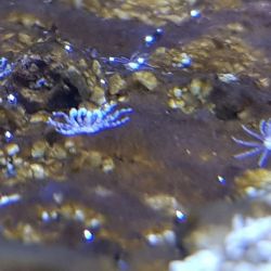 was ist das thumbnail