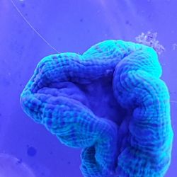 was ist das thumbnail