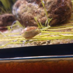 was ist das thumbnail