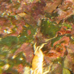 was ist das thumbnail