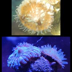 was ist das thumbnail