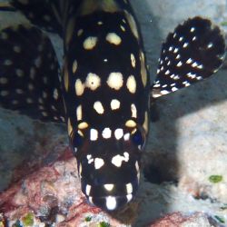 was ist das thumbnail