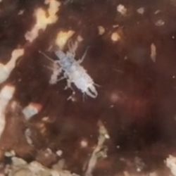 was ist das thumbnail