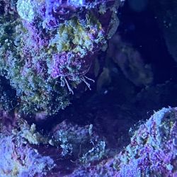 was ist das thumbnail