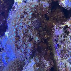 was ist das thumbnail