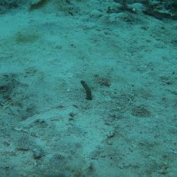 was ist das thumbnail