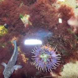 was ist das thumbnail