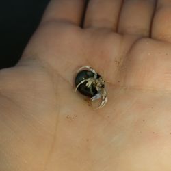 was ist das thumbnail