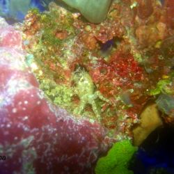 was ist das thumbnail