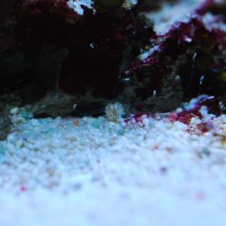 was ist das thumbnail