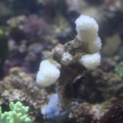 was ist das thumbnail