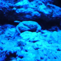 was ist das thumbnail