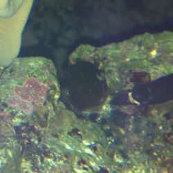 was ist das thumbnail