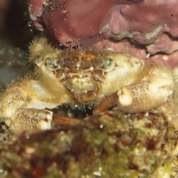 was ist das thumbnail