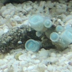 was ist das thumbnail