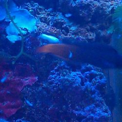 was ist das thumbnail