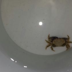 was ist das thumbnail