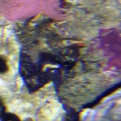 was ist das thumbnail