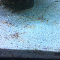 was ist das thumbnail