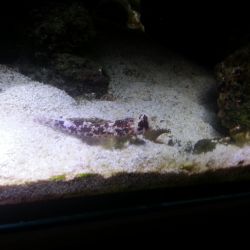 was ist das thumbnail