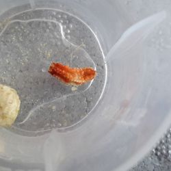 was ist das thumbnail