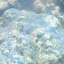 was ist das thumbnail