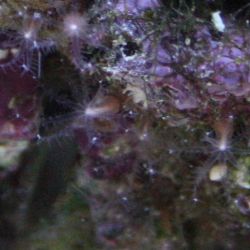 was ist das thumbnail