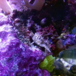 was ist das thumbnail