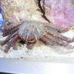 was ist das thumbnail