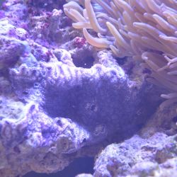 was ist das thumbnail