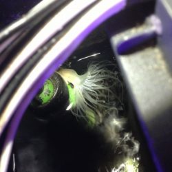 was ist das thumbnail