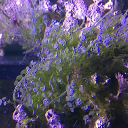 was ist das thumbnail