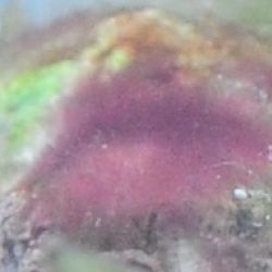 was ist das thumbnail