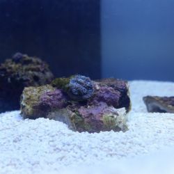 was ist das thumbnail