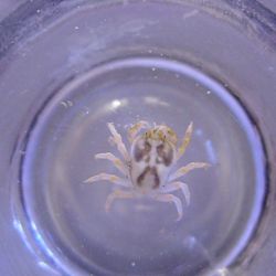 was ist das thumbnail